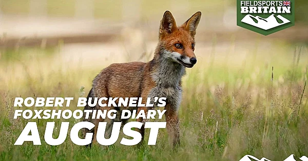 Robert Bucknell's foxshooting diary – August