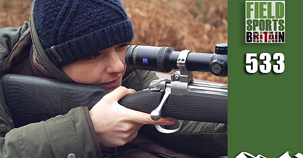 Fieldsports Britain - Small Deer Hunt