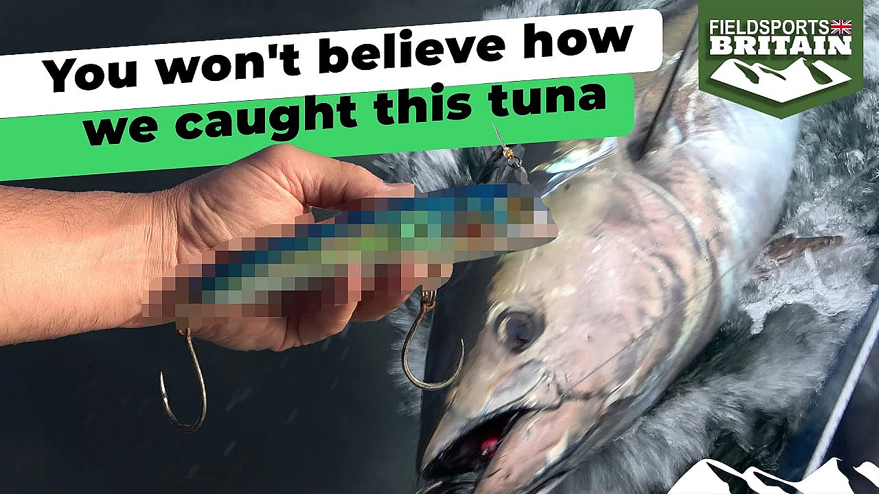 You Won't Believe How We Caught This Tuna