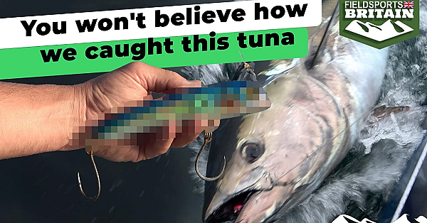 You Won't Believe How We Caught This Tuna