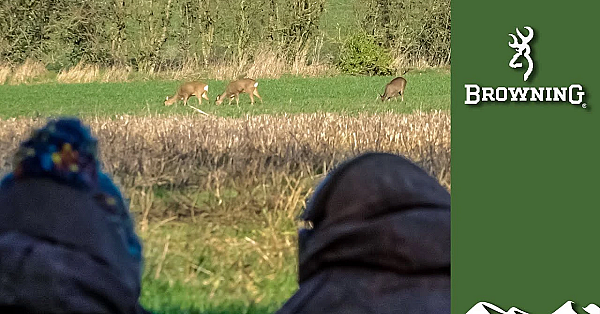 Roe Doe For The Freezer