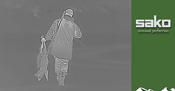 Shooting Foxes Off A Carp Pond