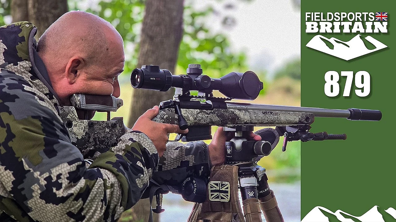 Fieldsports Britain – Golf course foxing