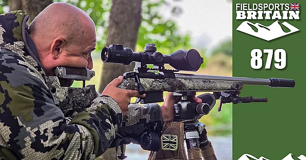 Fieldsports Britain – Golf course foxing