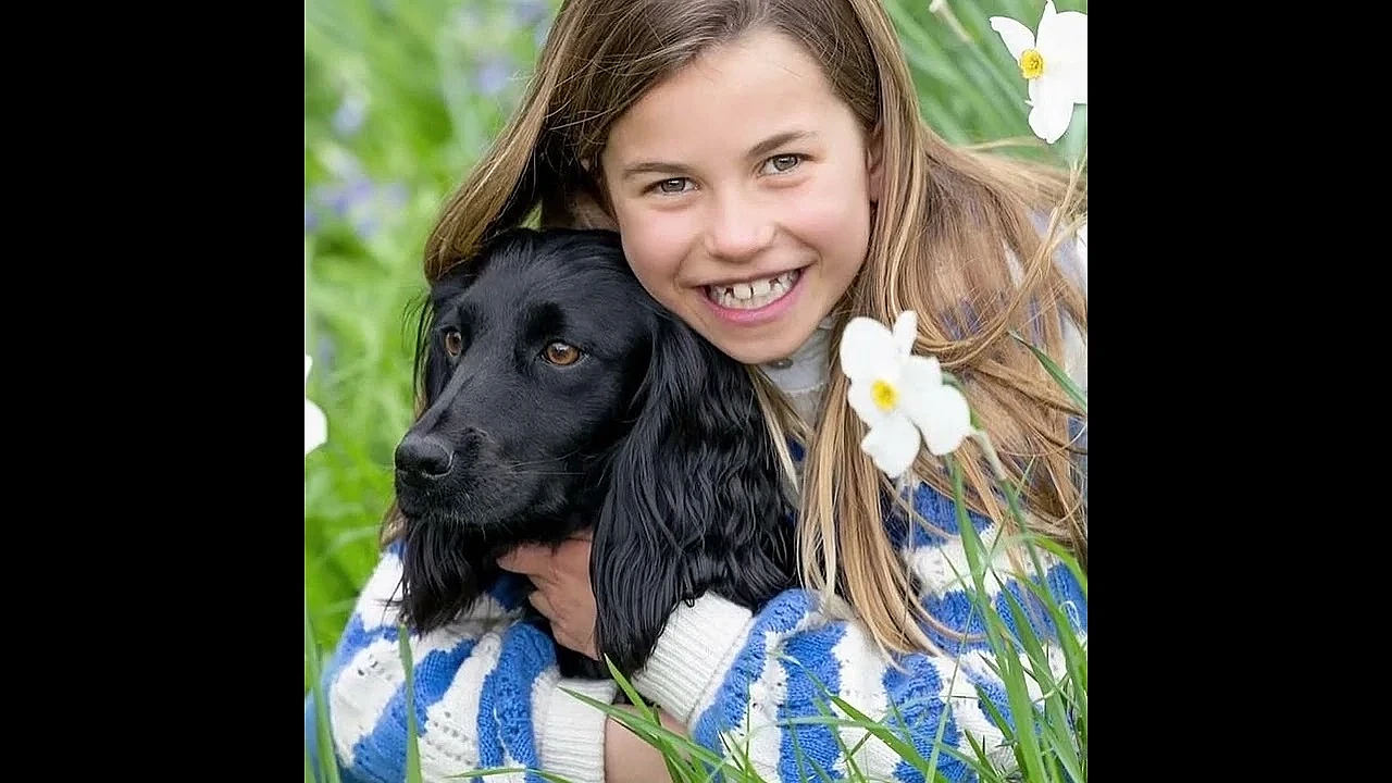 Royal puppies at the centre of a PETA row.