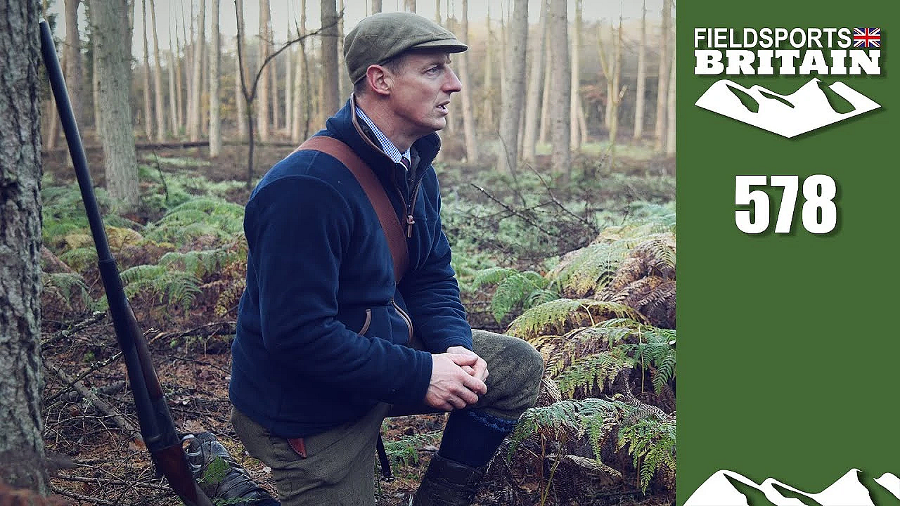 Fieldsports Britain - Old-fashioned Walked-up Shooting