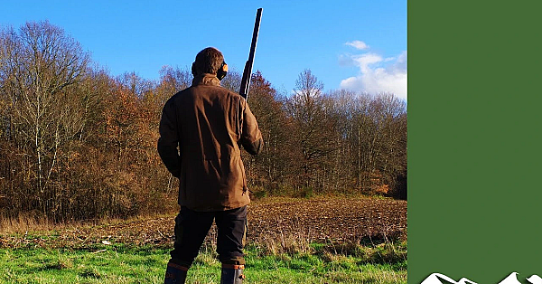 Never Never Let Your Gun...