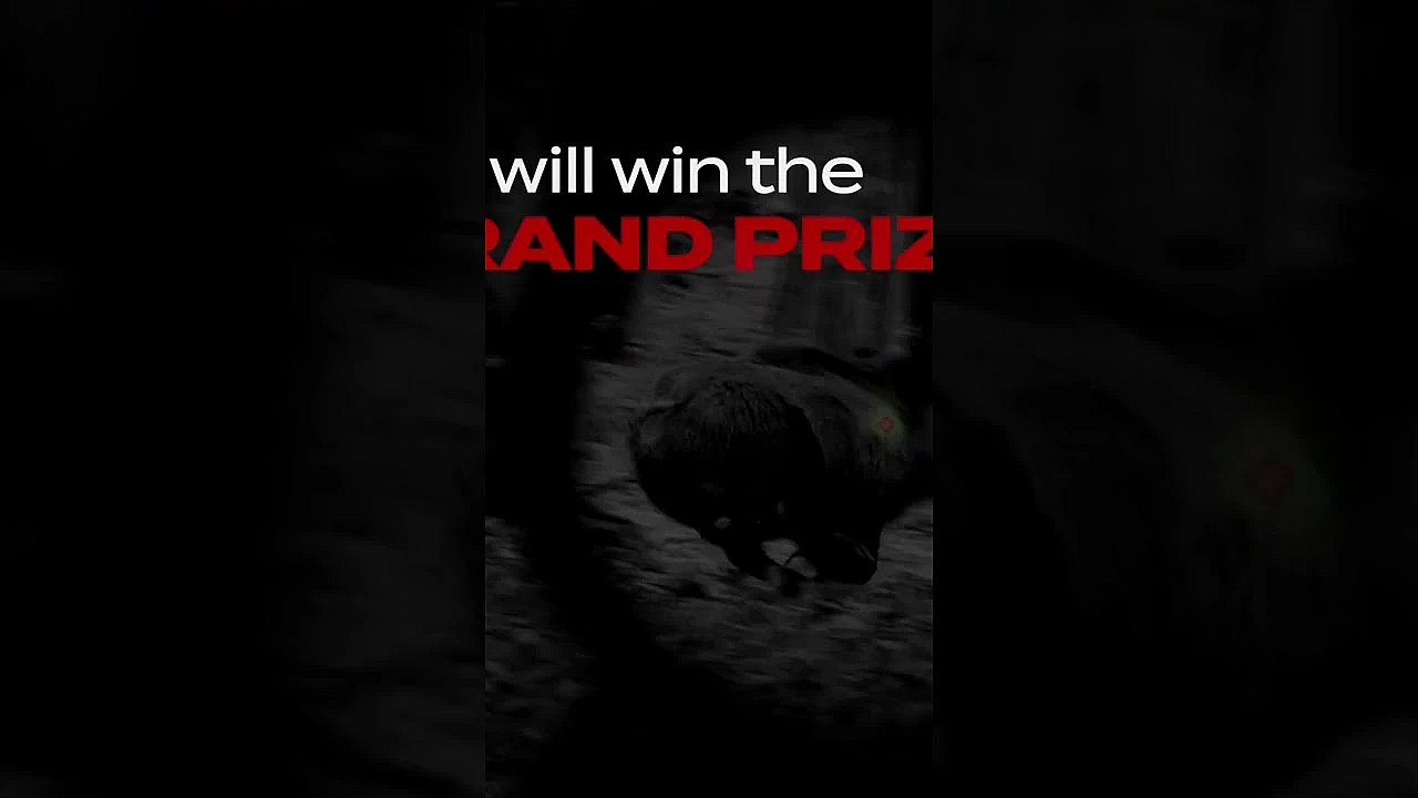 One Fieldsports Channel Viewer Will Win A Space Aimpoint Academy 2023 Https://bit.ly/aimpointacademy