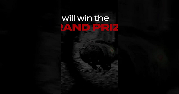 One Fieldsports Channel Viewer Will Win A Space Aimpoint Academy 2023 Https://bit.ly/aimpointacademy