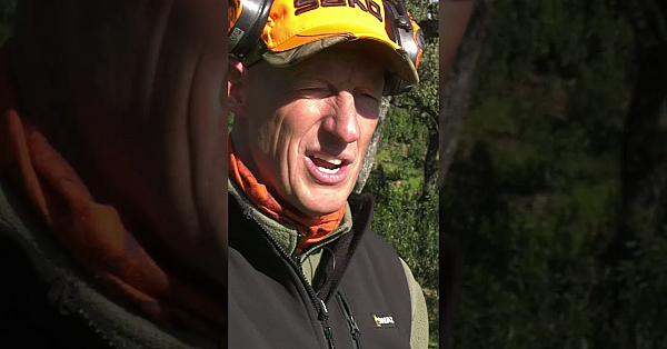 Paul Childerley Is Hunting Driven Wild Boar  #fieldsports #hunting #fieldsportsbritain