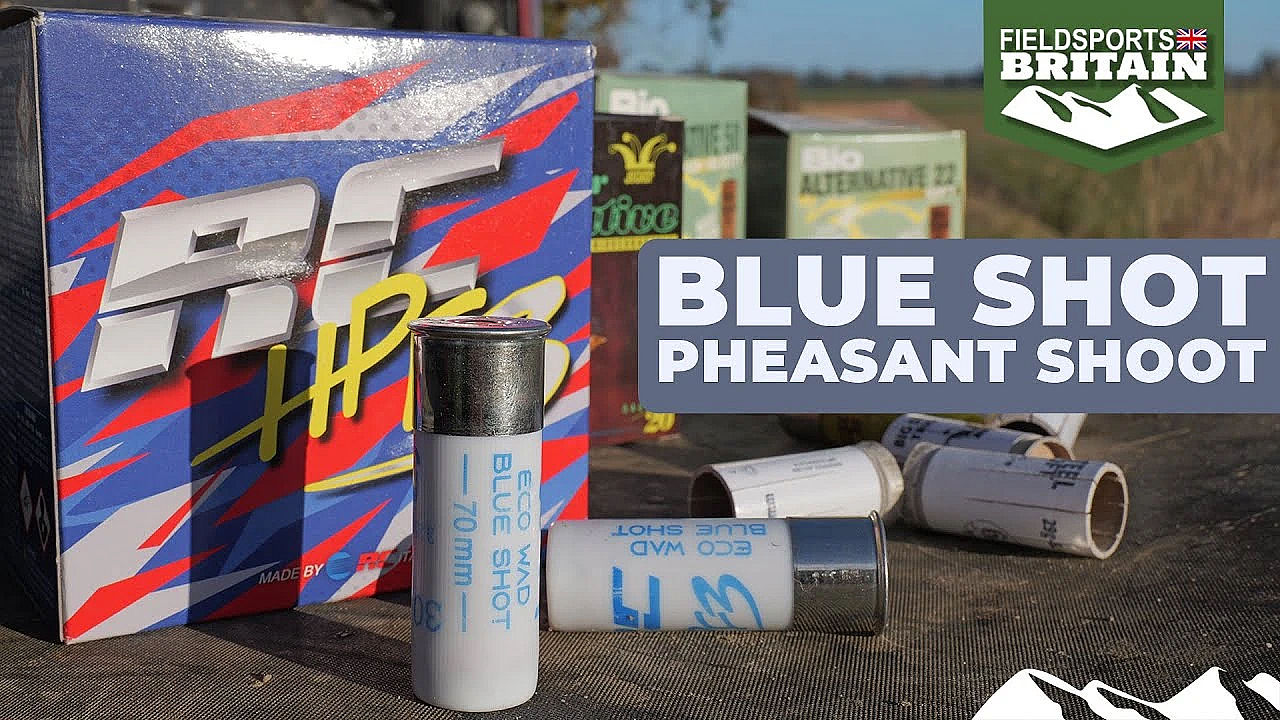 Blue Shot Pheasant Shoot
