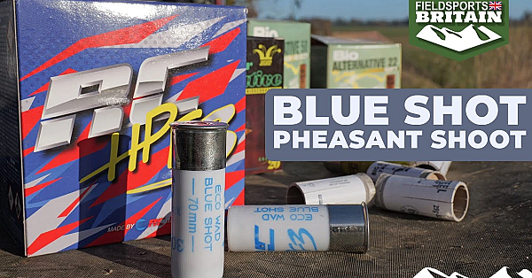 Blue Shot Pheasant Shoot