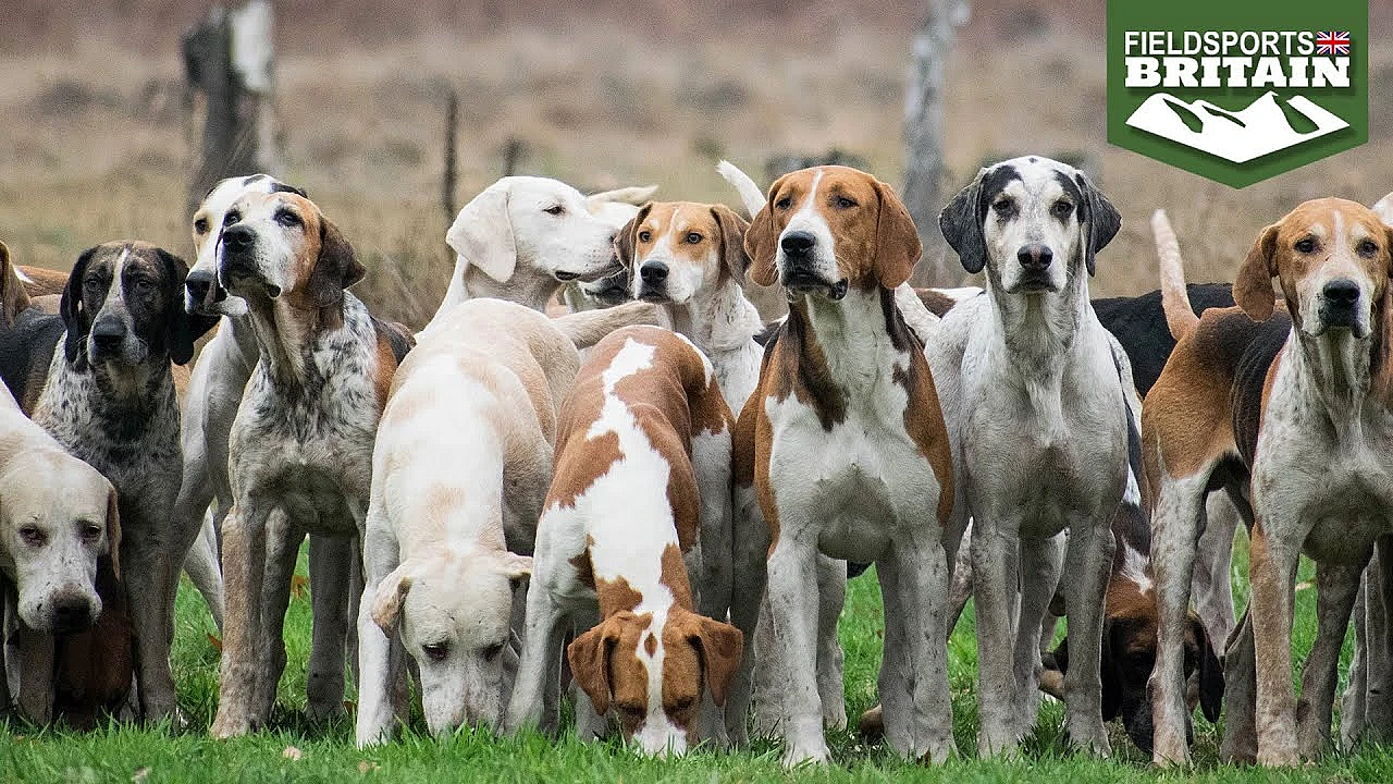 Hunting In The North Of England