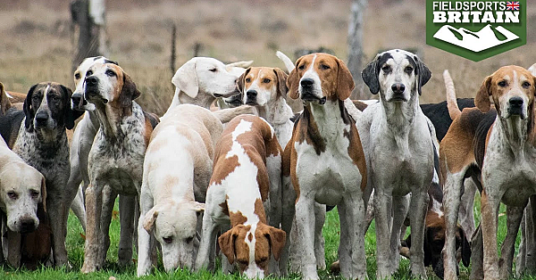 Hunting In The North Of England