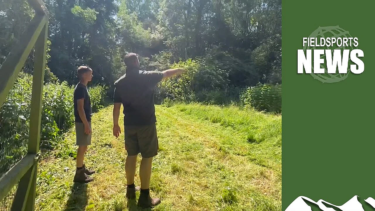 Delays In Gl43 Licences Threaten Gamekeeping Jobs