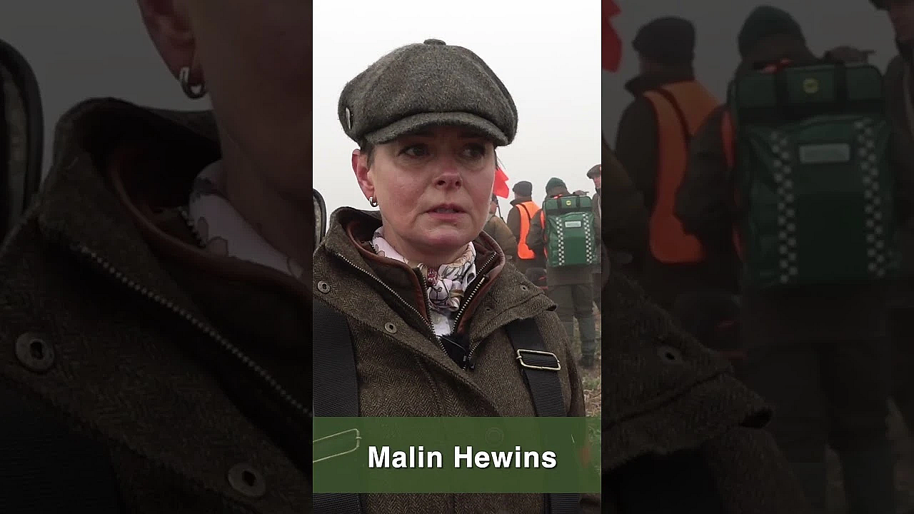 Dogs &amp; Hunters On Point - The Uk St Hubertus Cup 2023  #fieldsports #hunting