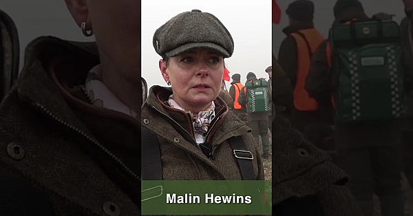 Dogs &amp; Hunters On Point - The Uk St Hubertus Cup 2023  #fieldsports #hunting