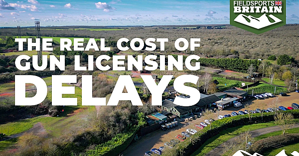 The Real Cost Of Gun Licensing Delays