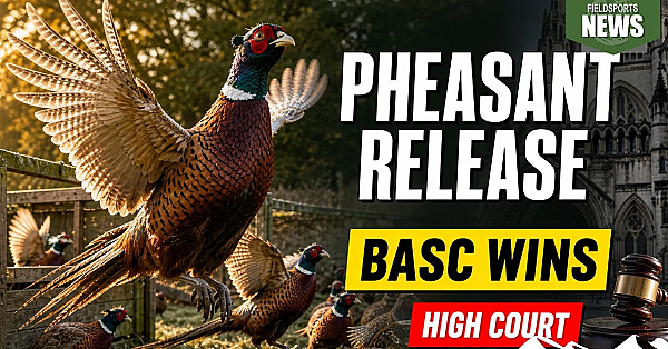 BASC wins High Court challenge over pheasant release – Fieldsports News, 22 July 2026