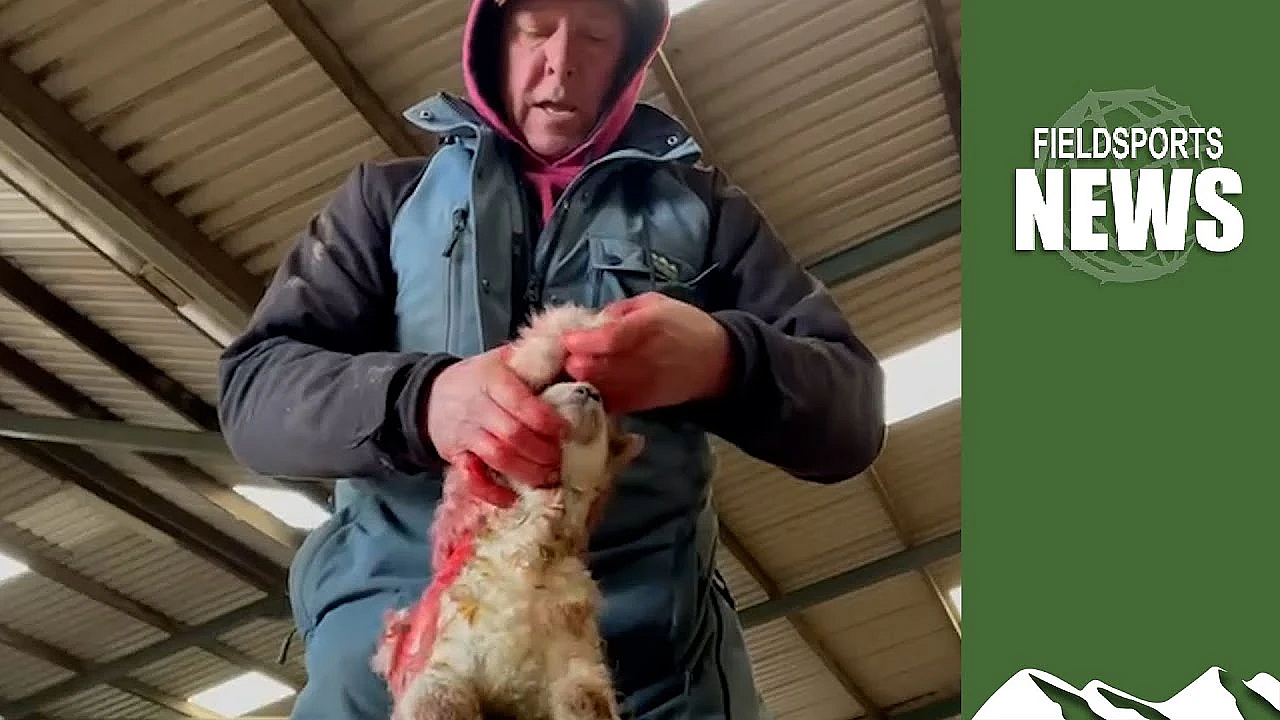 Antis Spew Hate Against Rural Businesses