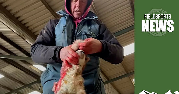 Antis Spew Hate Against Rural Businesses