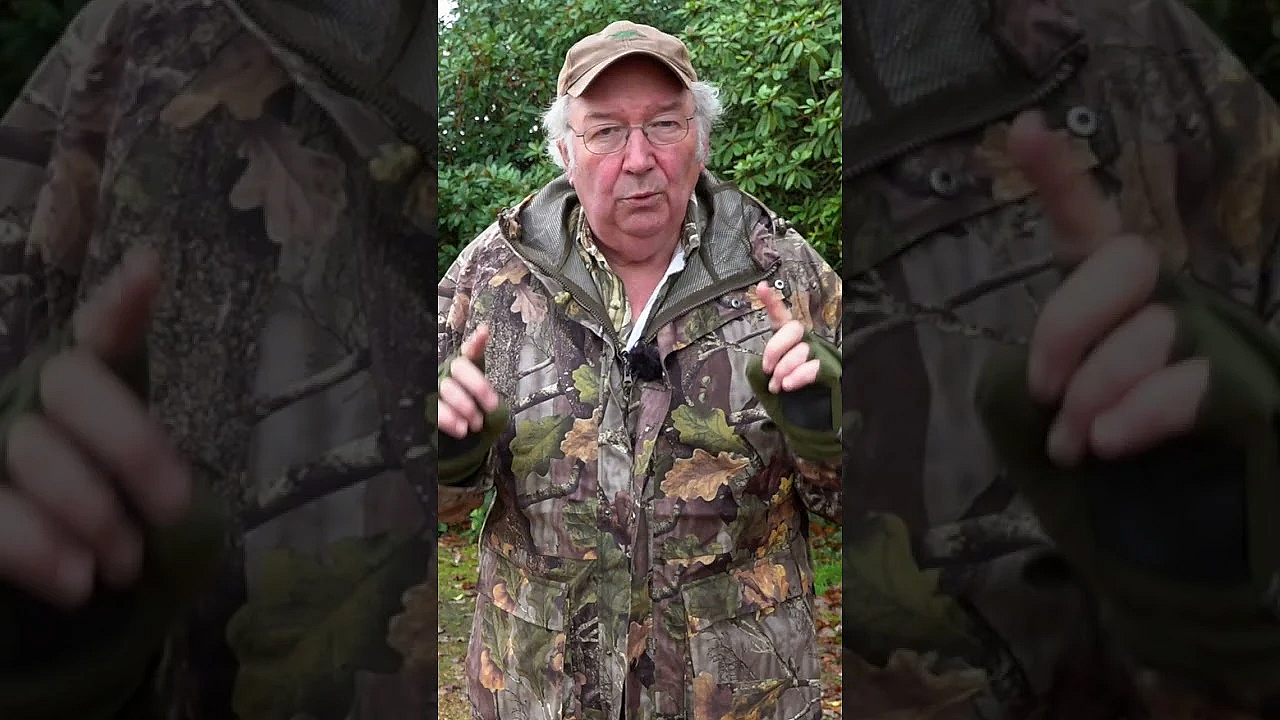 Terry Doe Is Called Out To Stop Squirrels Burning Down The House.