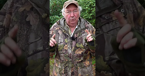 Terry Doe Is Called Out To Stop Squirrels Burning Down The House.