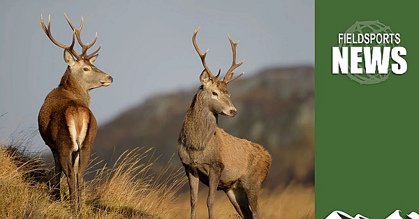 Assynt Crofters Vs John Muir Trust: Battle For Quinag Estate