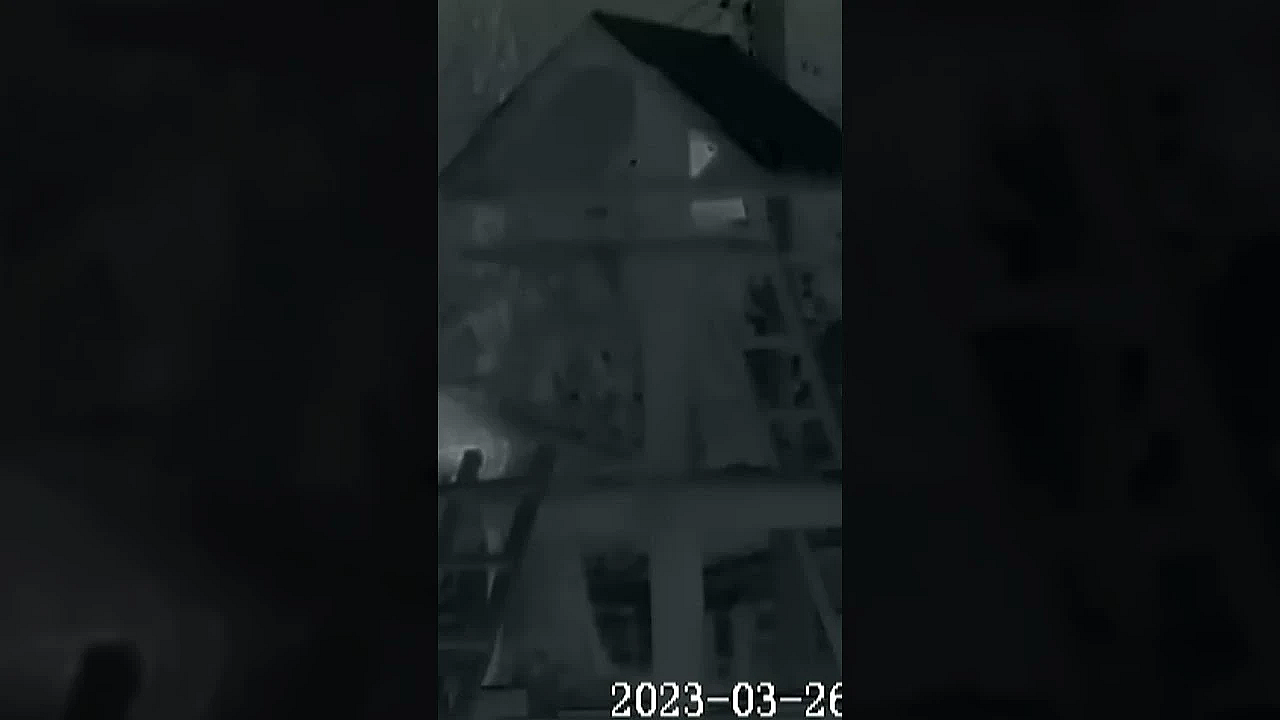 Will Thermal Optics Revolutionise Deerstalking? #fieldsportsbritain