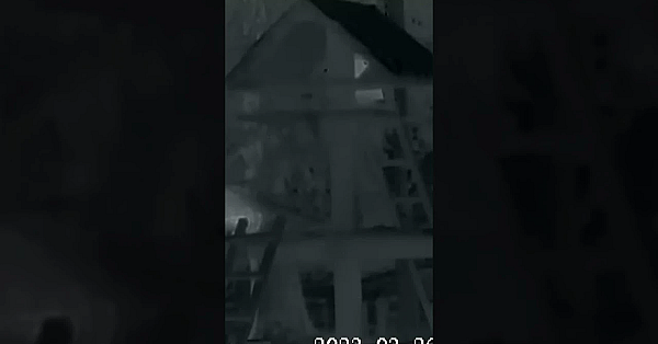 Will Thermal Optics Revolutionise Deerstalking? #fieldsportsbritain