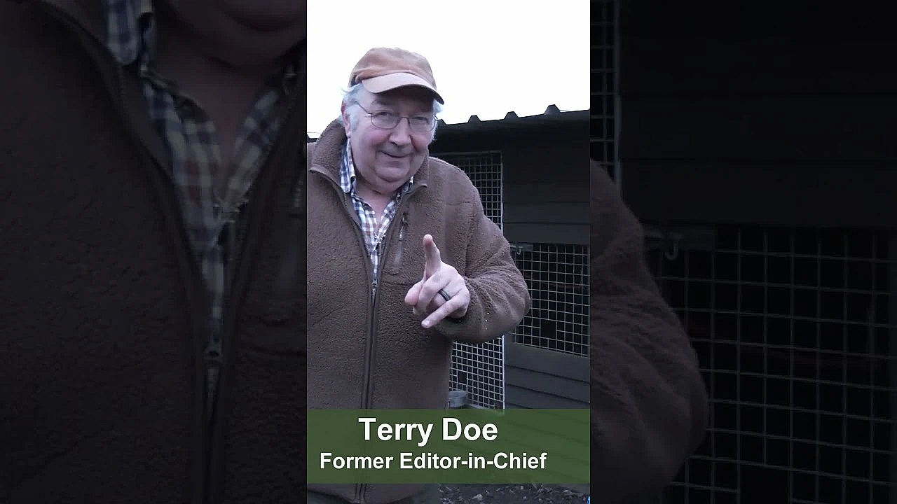 Thermal Airgun Ratting And Mousing #airgun #ratting