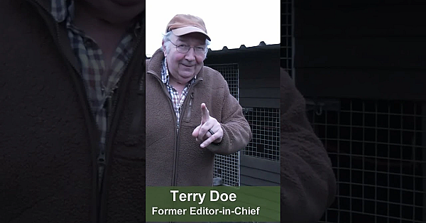 Thermal Airgun Ratting And Mousing #airgun #ratting