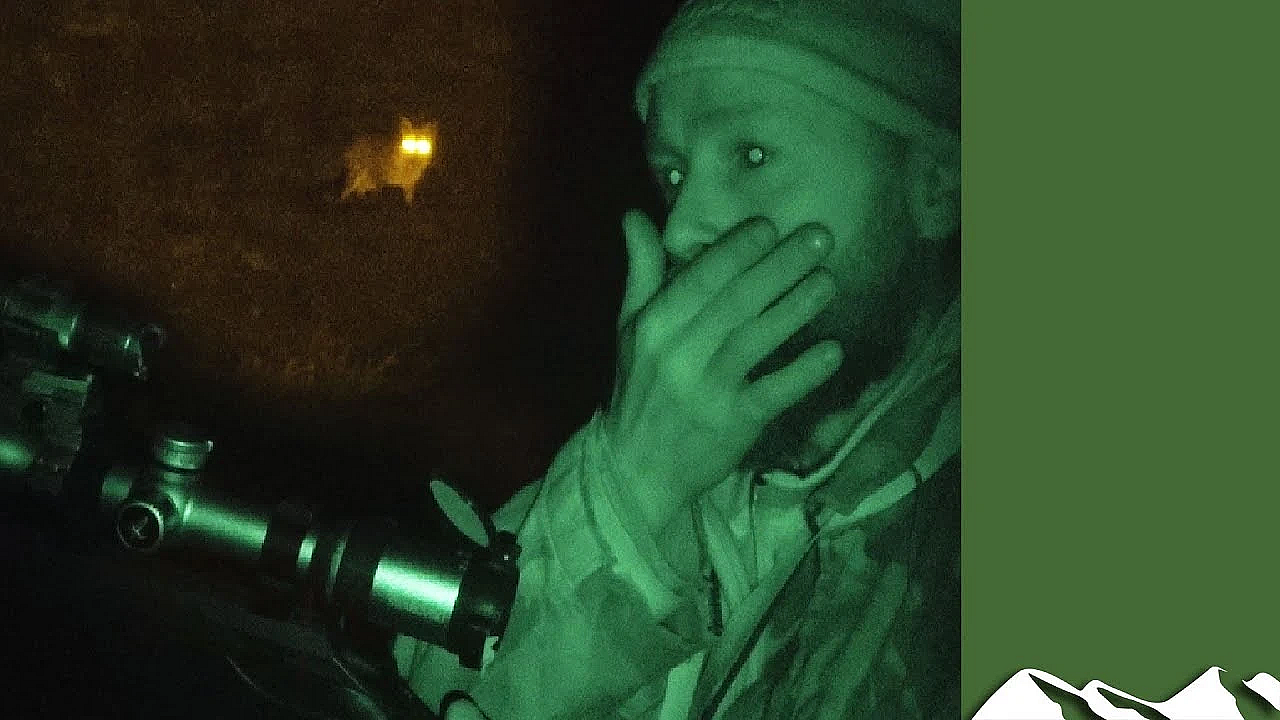 Irish Foxshooting - Big Numbers