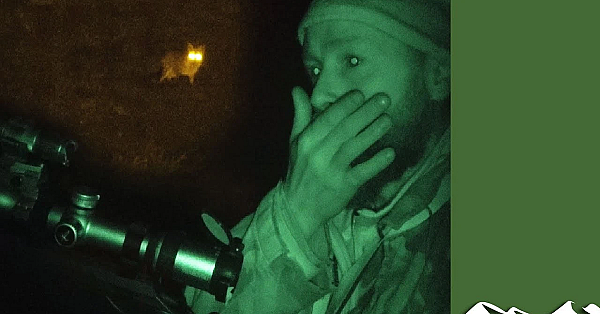 Irish Foxshooting - Big Numbers