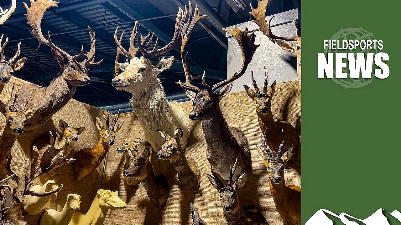 Zac Goldsmith’s Back-door Ban On Hunting Trophies