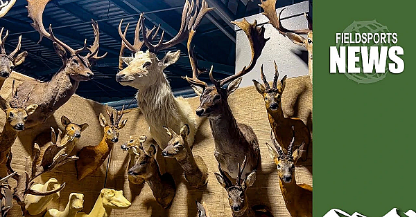 Zac Goldsmith’s Back-door Ban On Hunting Trophies