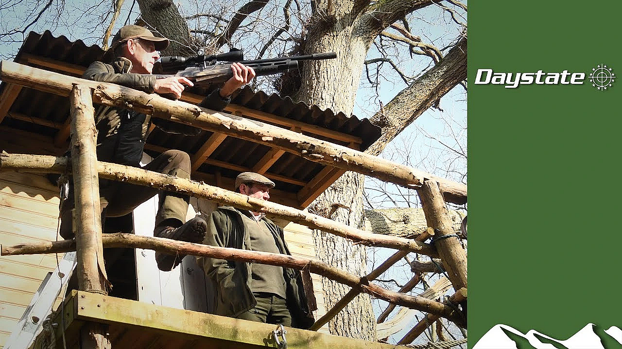 On Test: Daystate Wolverine R