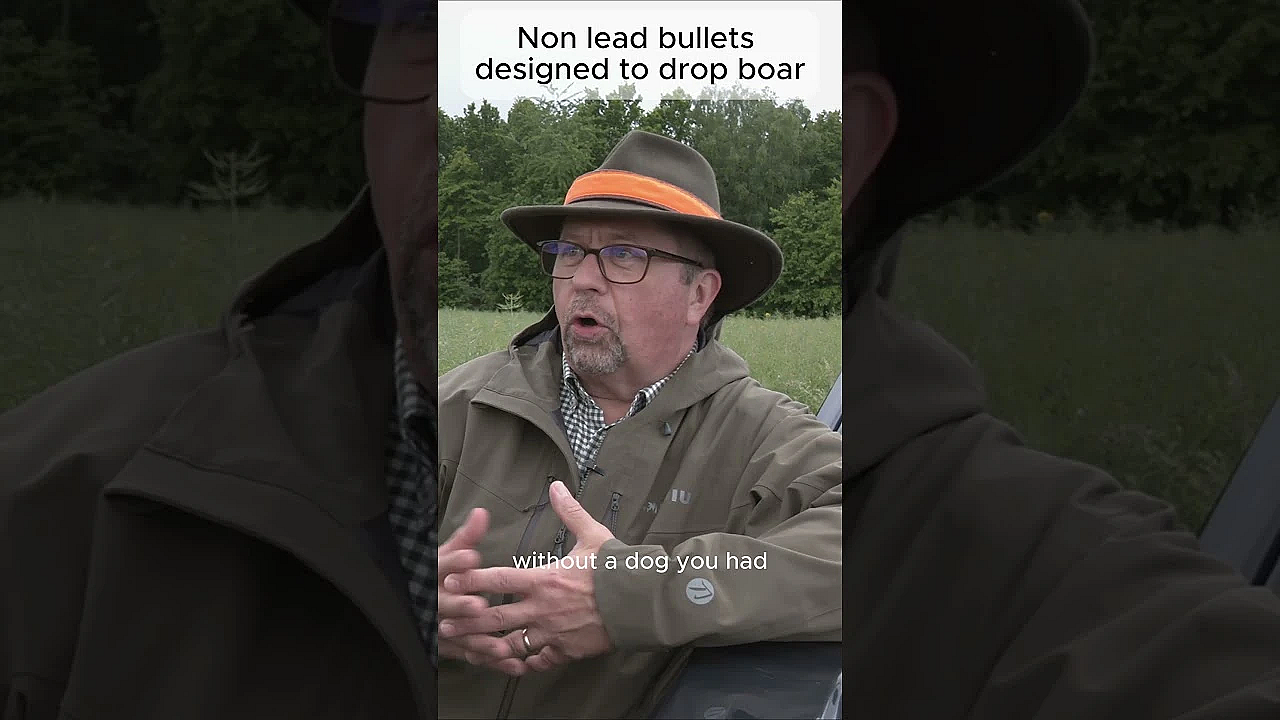 What Is The Best Non-lead Bullet To Stop Boar In Their Tracks?