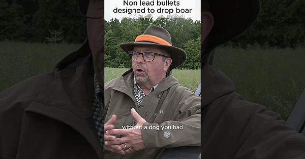 What Is The Best Non-lead Bullet To Stop Boar In Their Tracks?