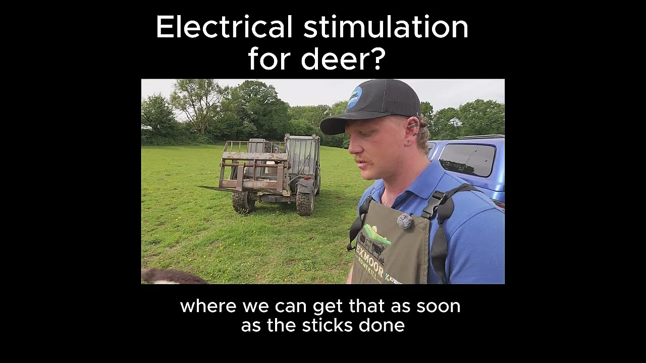 Electrical stimulation for deer?
