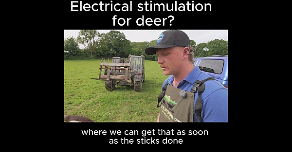 Electrical stimulation for deer?