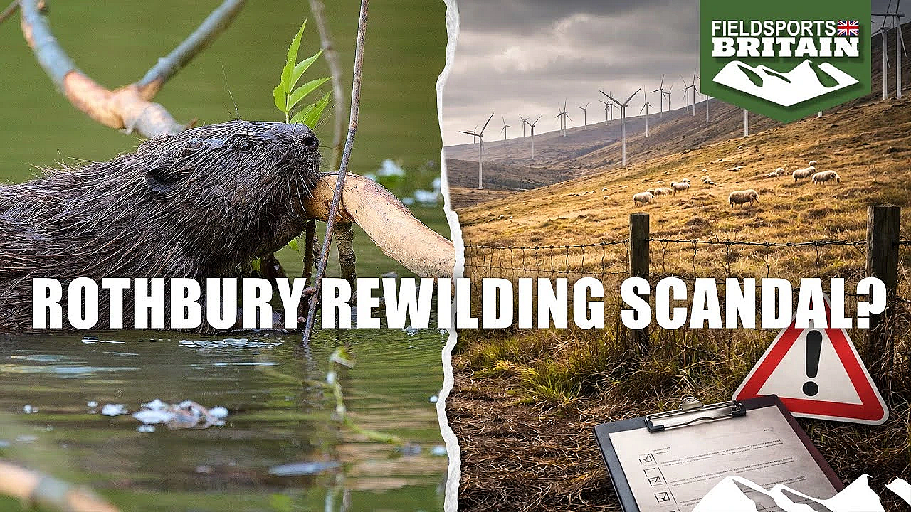 Rothbury Rewilding Scandal?