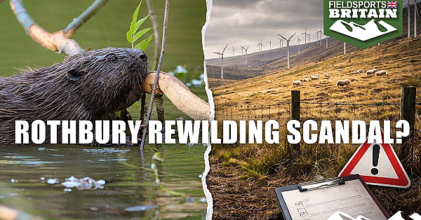 Rothbury Rewilding Scandal?