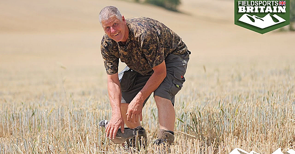 Hot Pigeon Shooting Tips With Andy Crow