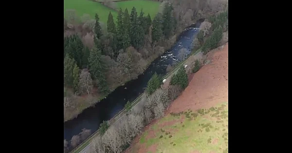 England’s salmon numbers hit a record low