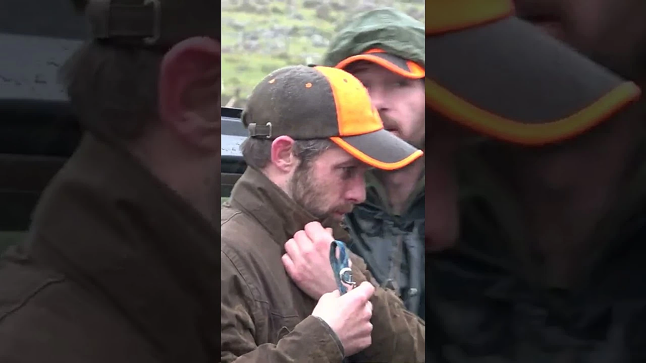 #woodcock Capital Of Europe