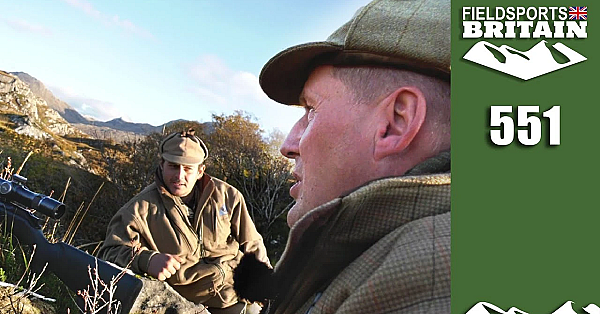 Fieldsports Britain - Niall Deals With Scotland's Sika Swarm