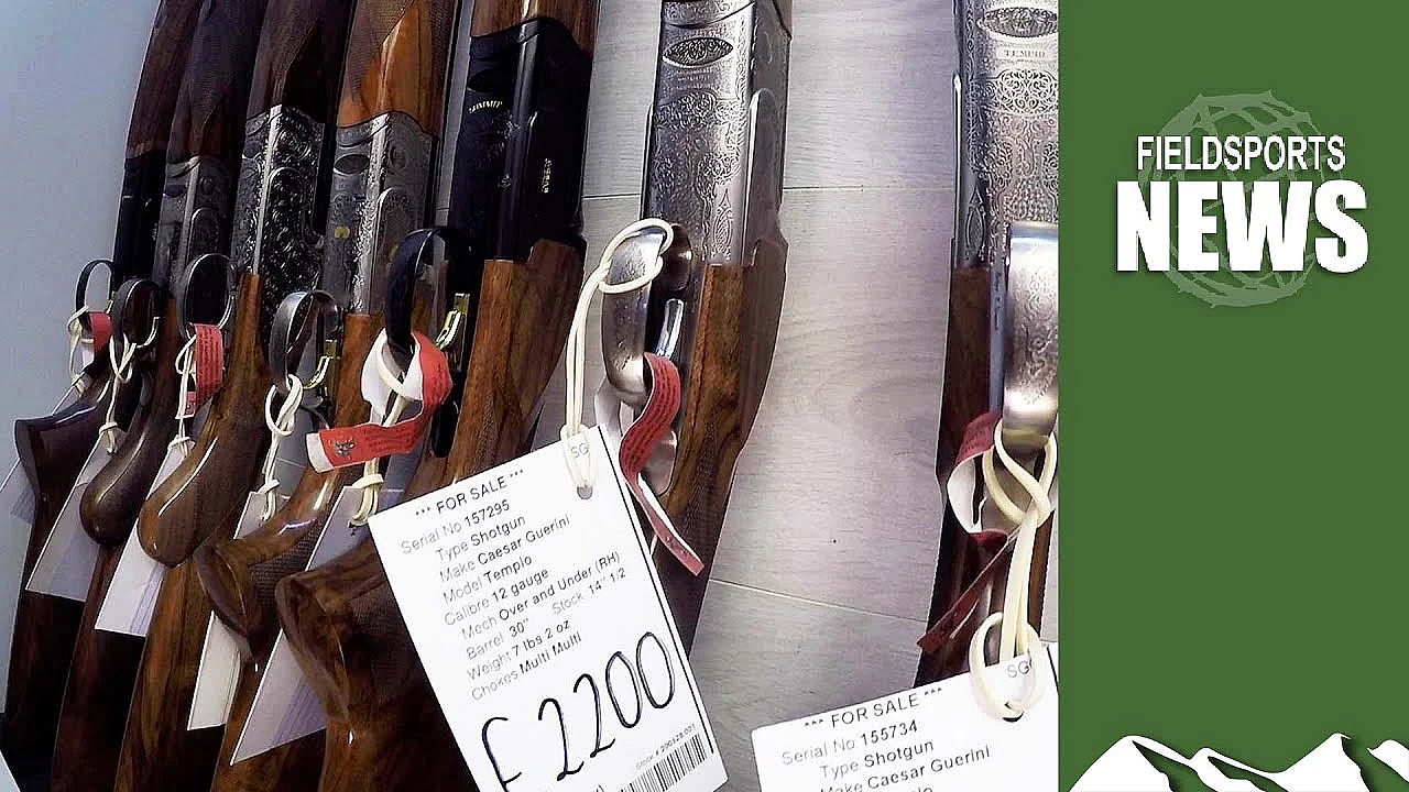 Gun Price Changes After A No-deal Brexit