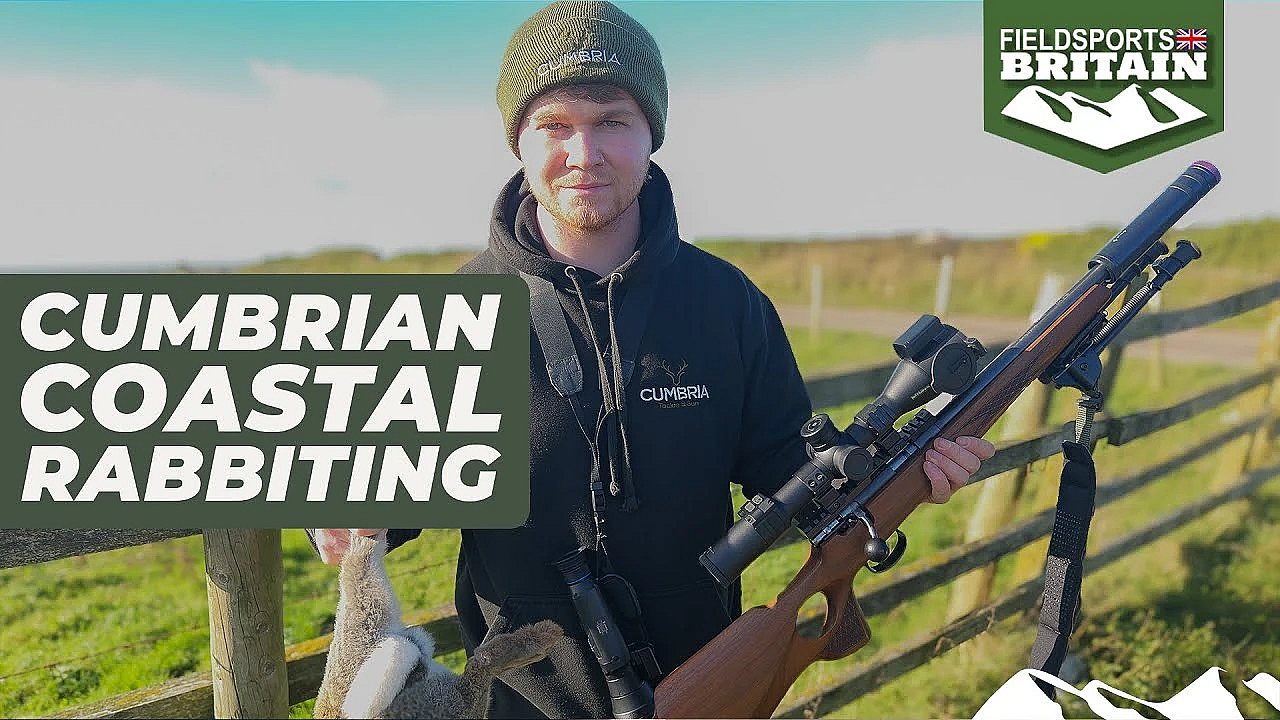 Rabbit Shooting On The Cumbrian Coast