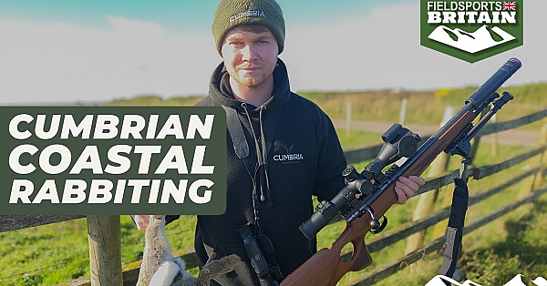 Rabbit Shooting On The Cumbrian Coast